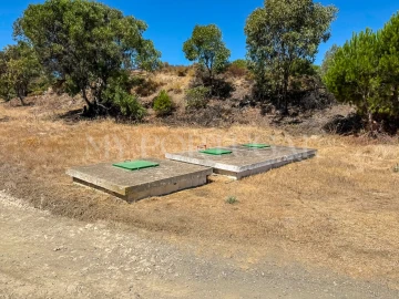 Terreno Agricola ou Rústico para Venda em Altura