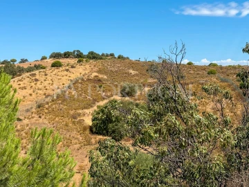 Terreno Agricola ou Rústico para Venda em Altura