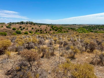 Terreno Agricola ou Rústico para Venda em Altura