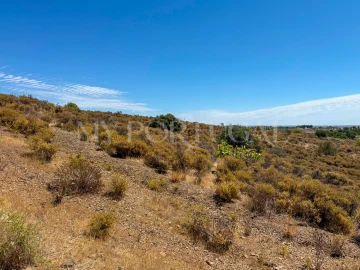 Terreno Agricola ou Rústico para Venda em Altura