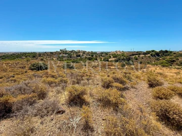 Terreno Agricola ou Rústico para Venda em Altura