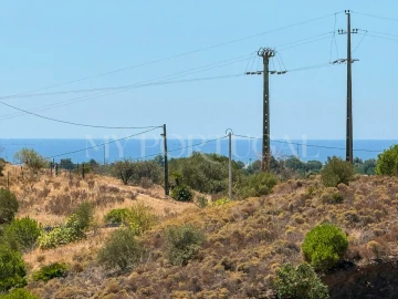 Terreno Agricola ou Rústico para Venda em Altura