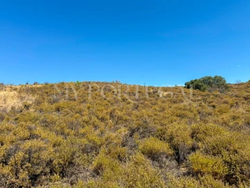 Terreno Agricola ou Rústico para Venda em Altura