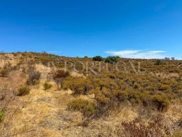 Terreno Agricola ou Rústico para Venda em Altura