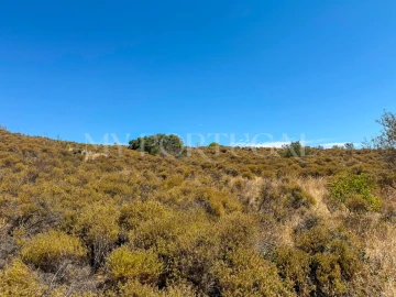 Terreno Agricola ou Rústico para Venda em Altura