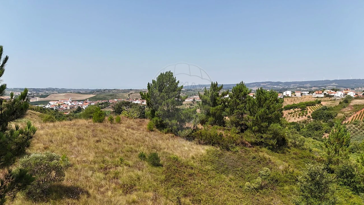 Terreno para Venda em Olhalvo Foto 2