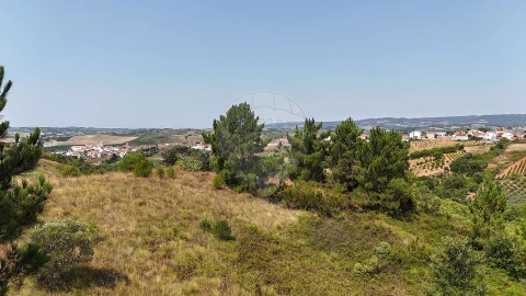 Terreno para Venda em Olhalvo