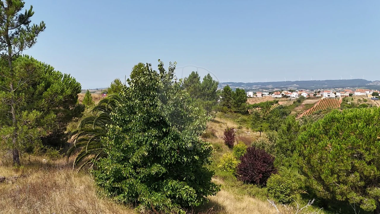 Terreno para Venda em Olhalvo Foto 3