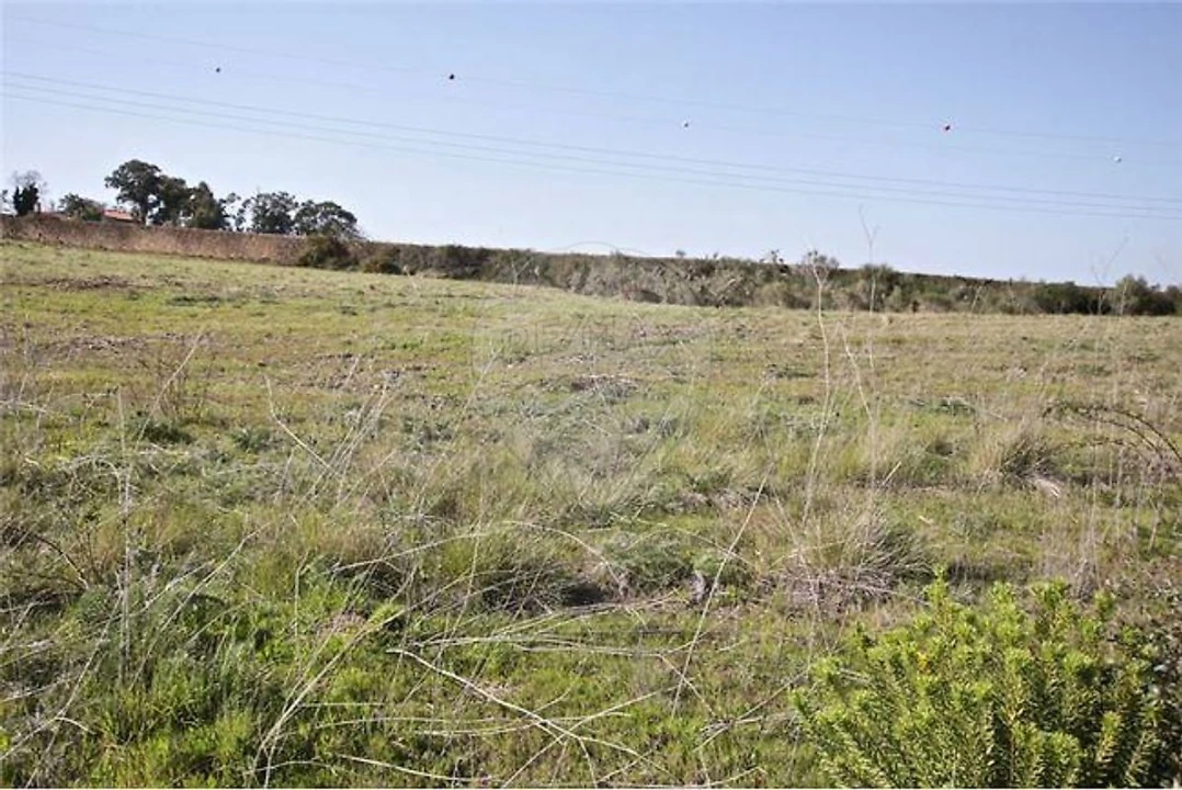 Terreno para Venda em Vila Franca de Xira Foto 7