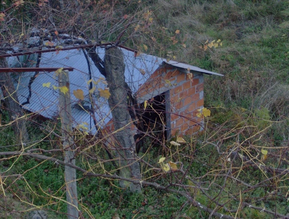 Terreno para Venda em Eiras e Mei Foto 14