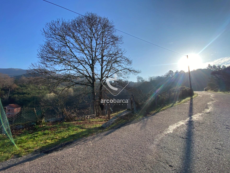 Terreno para Venda em Eiras e Mei Foto 12