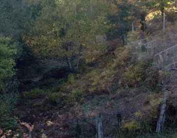 Terreno para Venda em Eiras e Mei