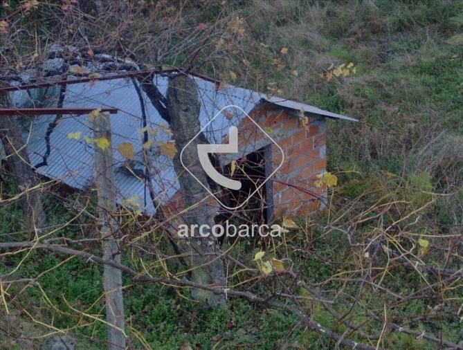 Terreno para Venda em Eiras e Mei Foto 19