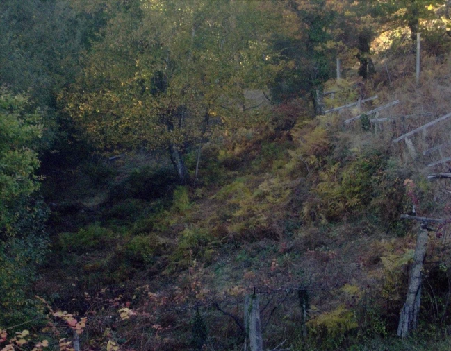 Terreno para Venda em Eiras e Mei Foto 16