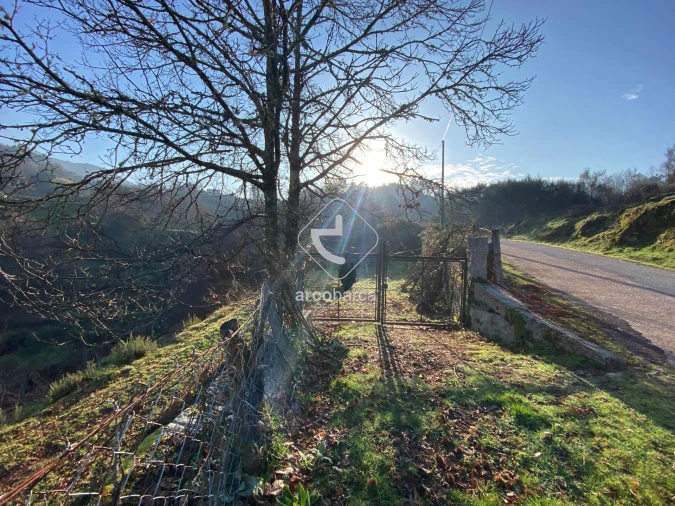 Terreno para Venda em Eiras e Mei Foto 18