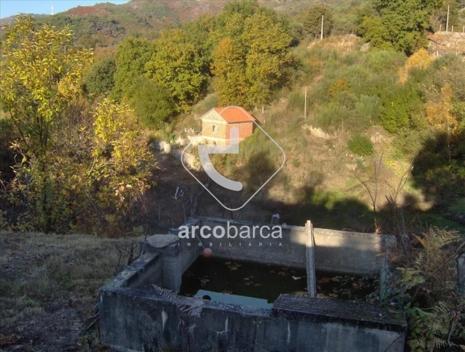 Terreno para Venda em Eiras e Mei Foto 5