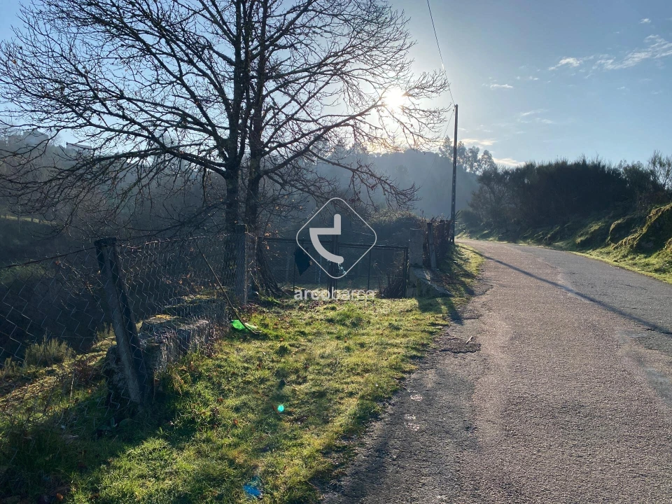 Terreno para Venda em Eiras e Mei Foto 10