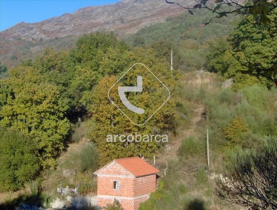 Terreno para Venda em Eiras e Mei Foto 20
