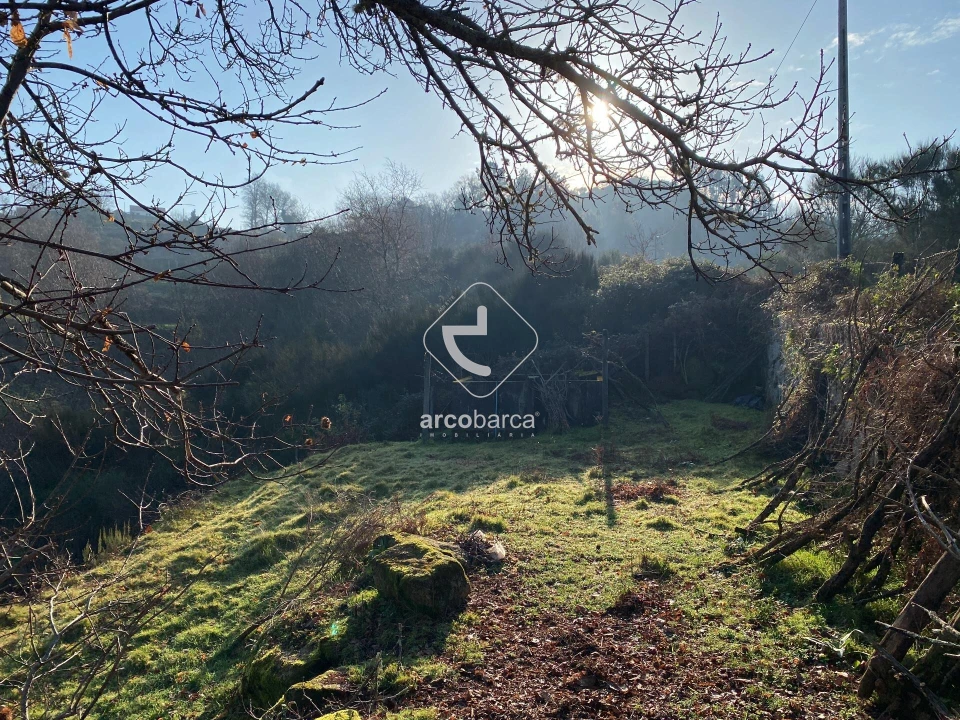 Terreno para Venda em Eiras e Mei Foto 3