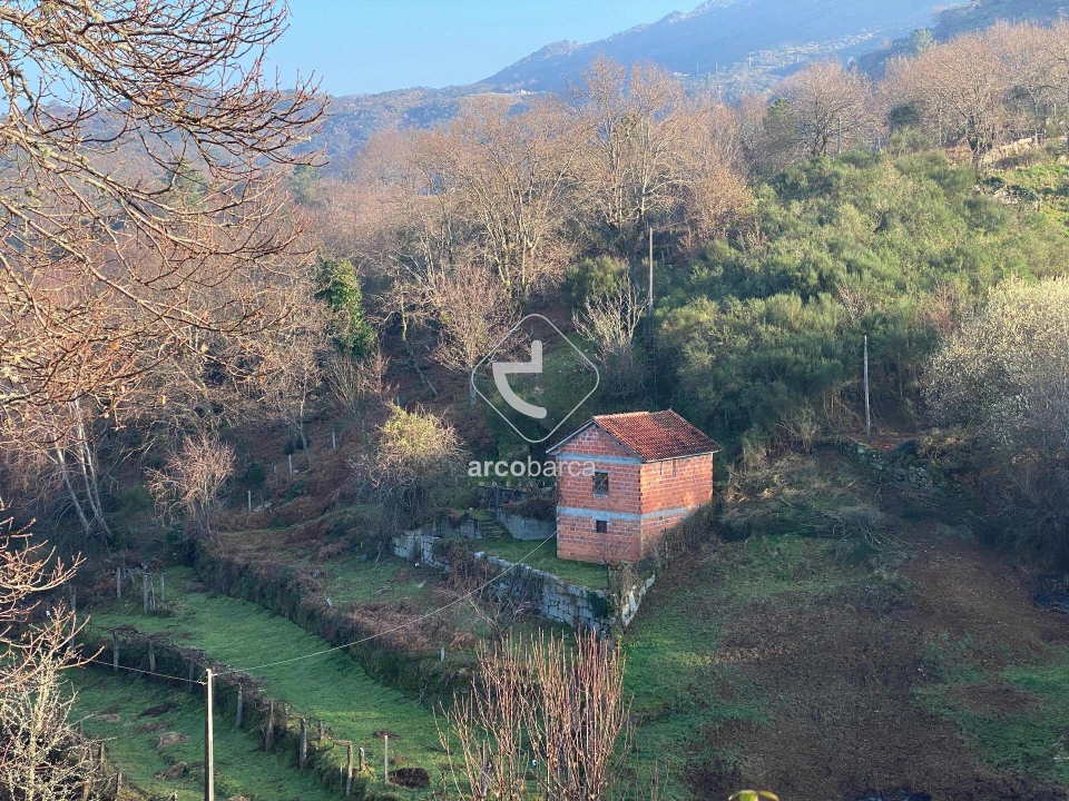 Terreno para Venda em Eiras e Mei Foto 6