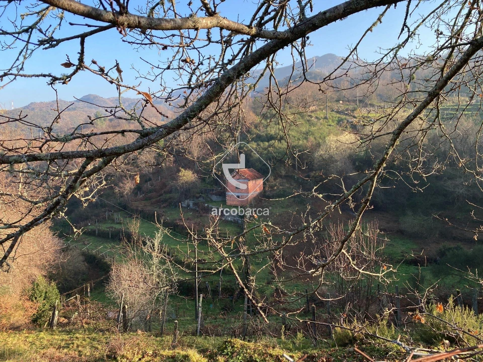 Terreno para Venda em Eiras e Mei Foto 7