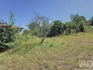 Quinta para Venda em Fafe