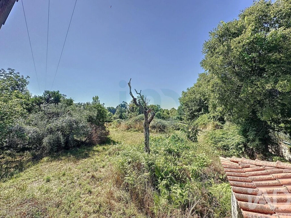 Quinta para Venda em Fafe Foto 3