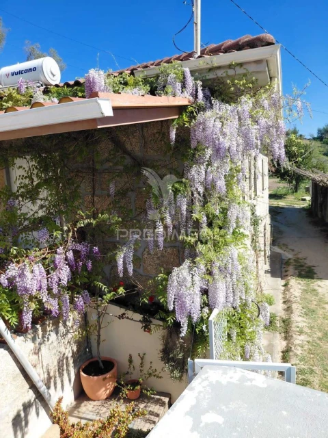 Quinta T3 para Venda em Grilo