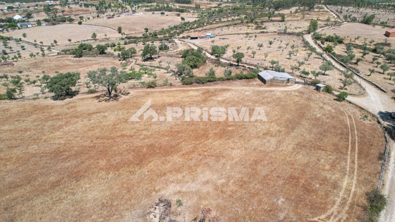 Terreno para Venda em Sarnadas de Rodão Foto 13