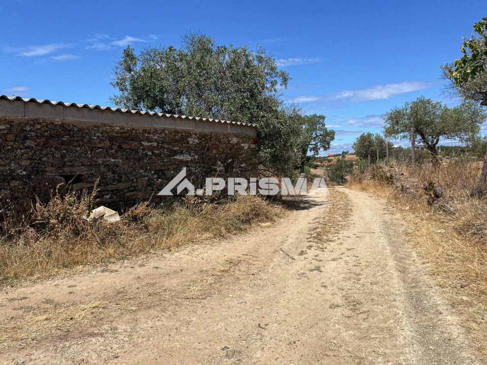 Terreno para Venda em Sarnadas de Rodão Foto 16