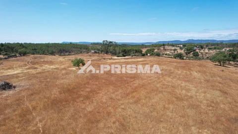 Terreno para Venda em Sarnadas de Rodão