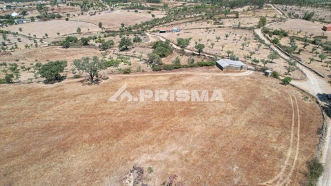 Terreno para Venda em Sarnadas de Rodão