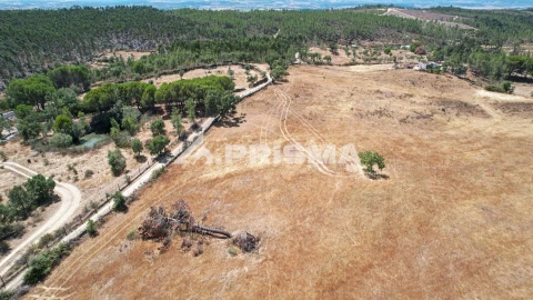 Terreno para Venda em Sarnadas de Rodão