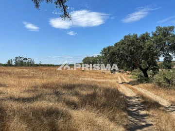 Terreno para Venda em Sarnadas de Rodão
