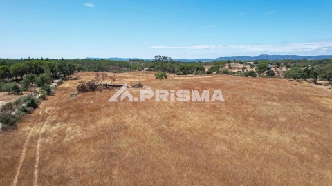 Terreno para Venda em Sarnadas de Rodão