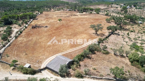Terreno para Venda em Sarnadas de Rodão
