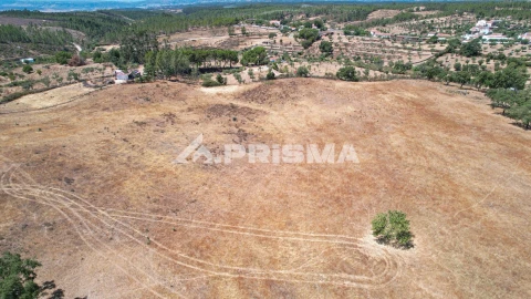 Terreno para Venda em Sarnadas de Rodão