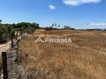 Terreno para Venda em Sarnadas de Rodão