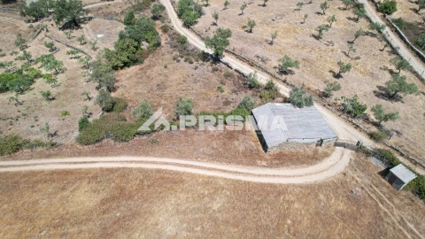 Terreno para Venda em Sarnadas de Rodão