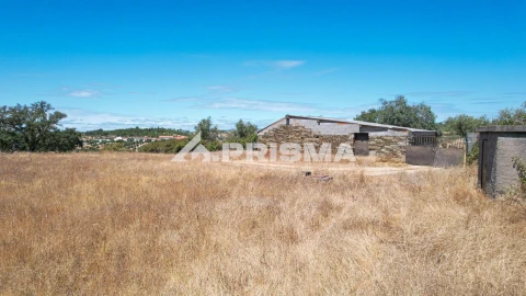 Terreno para Venda em Sarnadas de Rodão