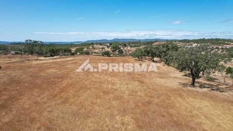 Terreno para Venda em Sarnadas de Rodão
