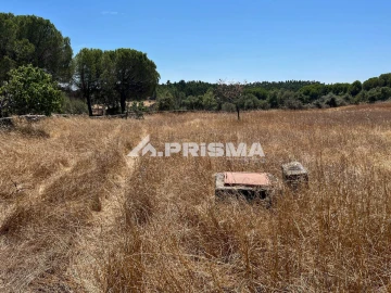 Terreno para Venda em Sarnadas de Rodão