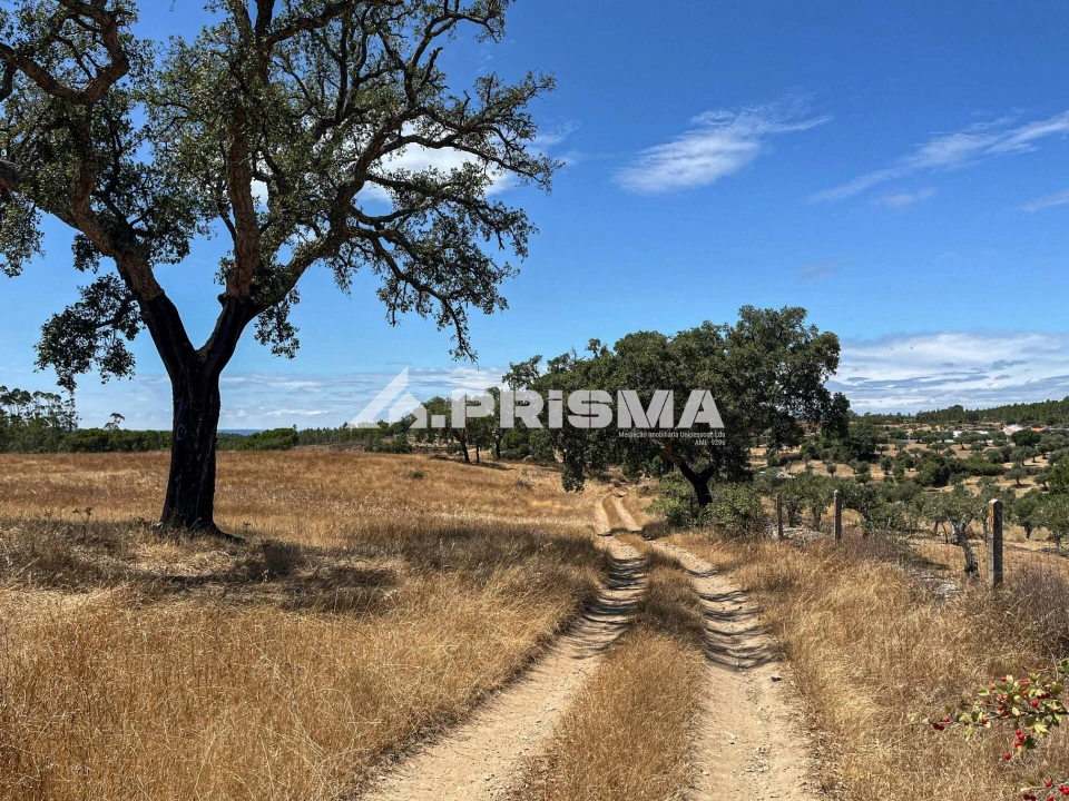 Terreno para Venda em Sarnadas de Rodão Foto 4