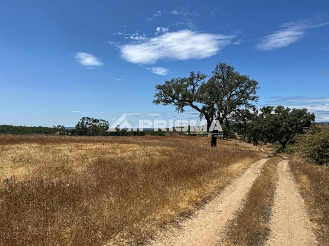 Terreno para Venda em Sarnadas de Rodão Foto 14