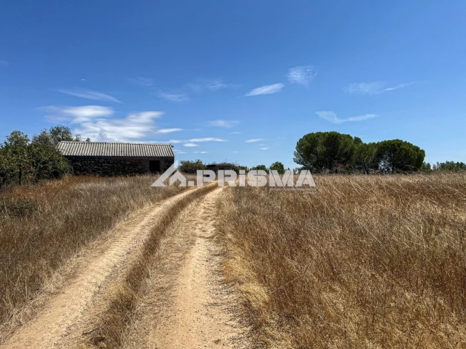 Terreno para Venda em Sarnadas de Rodão Foto 17