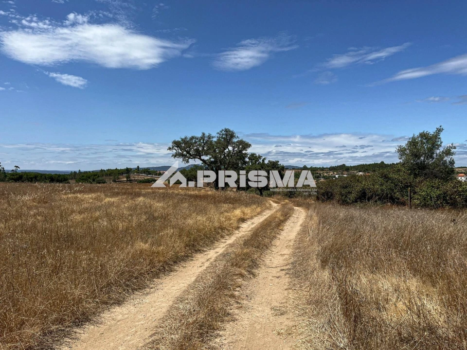 Terreno para Venda em Sarnadas de Rodão Foto 31