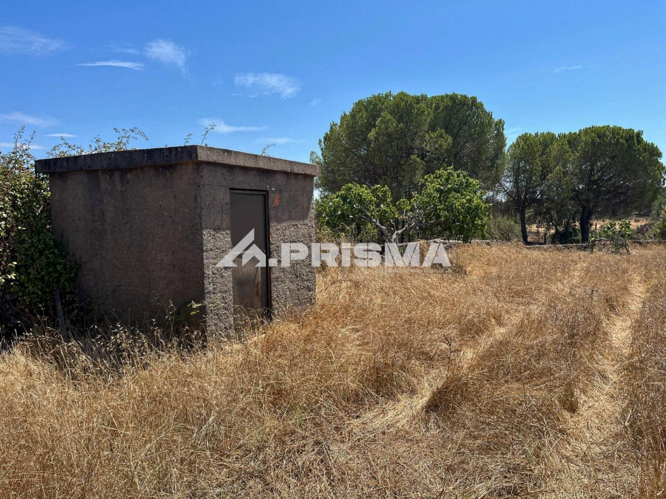 Terreno para Venda em Sarnadas de Rodão Foto 6