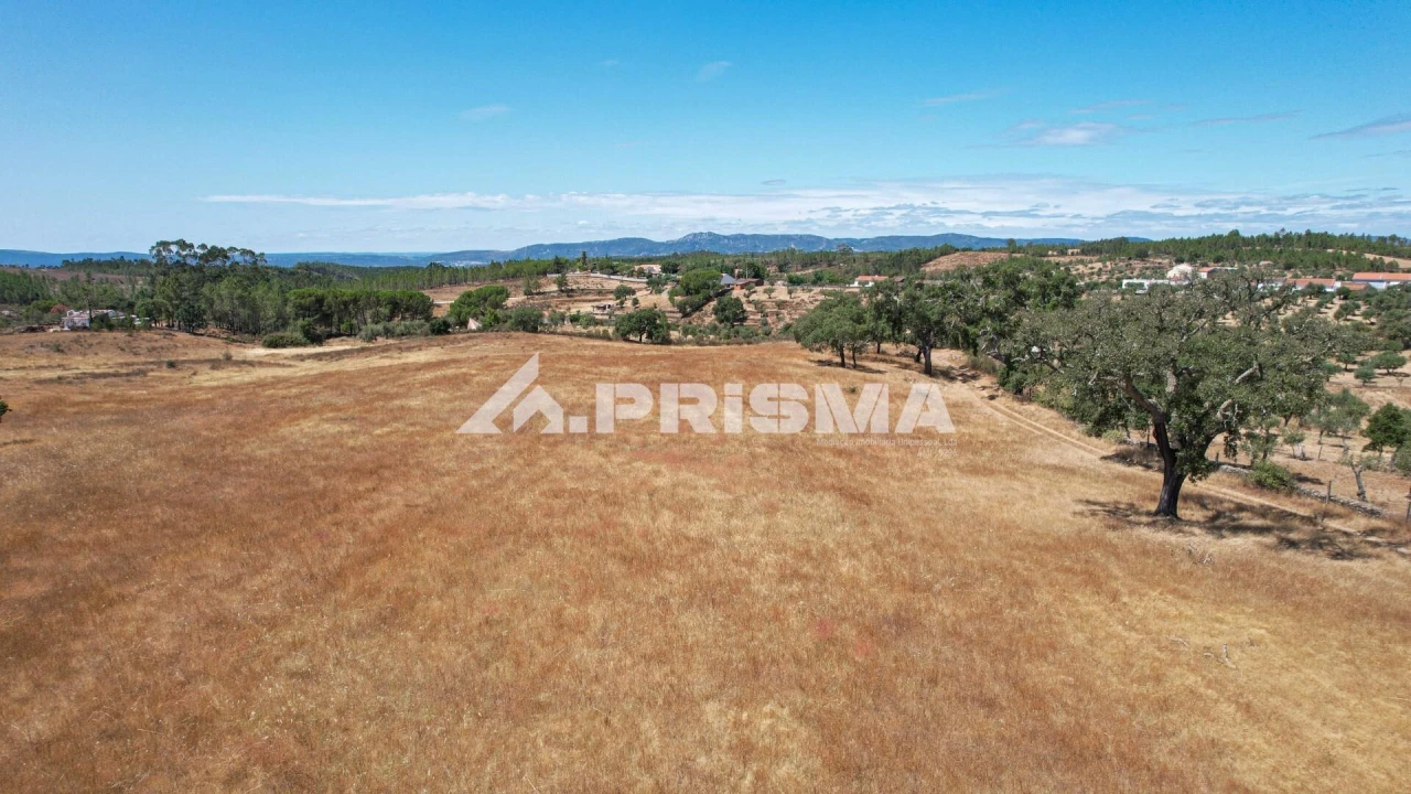 Terreno para Venda em Sarnadas de Rodão Foto 24