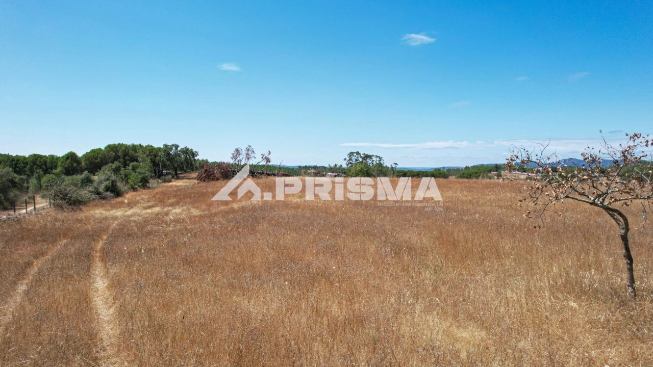 Terreno para Venda em Sarnadas de Rodão Foto 27