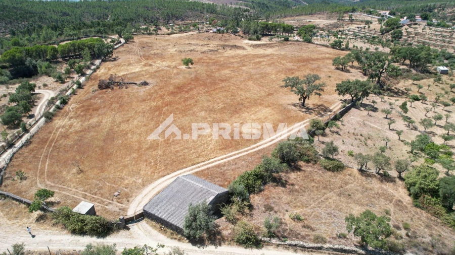 Terreno para Venda em Sarnadas de Rodão